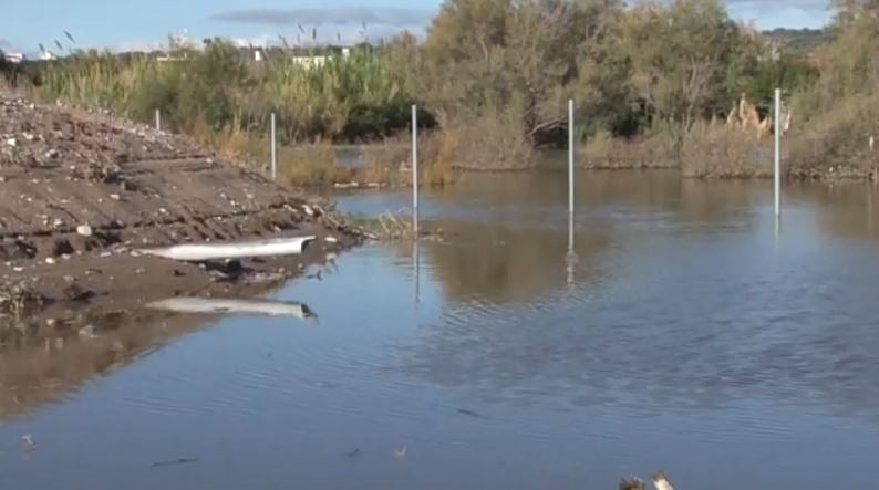 Μετράει τις πληγές της η Ρόδος μετά το σαρωτικό πέρασμα της κακοκαιρίας – Καταστροφές και στην Εύβοια