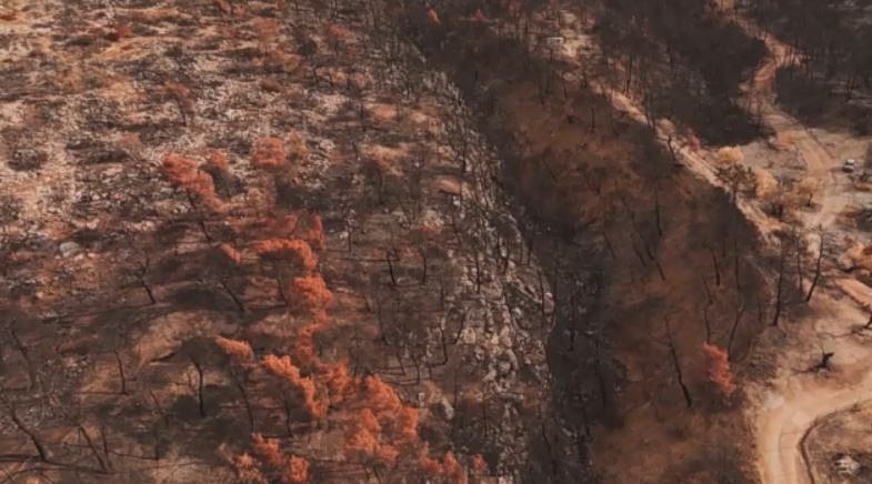 HELLENiQ ENERGY: Έναρξη αντιδιαβρωτικών έργων στην Αττική & τη Βοιωτία