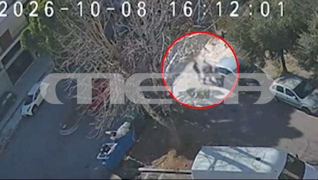 Ελευσίνα: Απολογούνται την Τρίτη οι δύο φασίστες που επιτέθηκαν σε 32χρονο